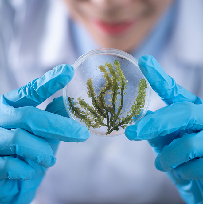 Nghiên cứu liệu pháp trúng đích trong điều trị tế bào ung thư